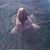 Matthew Leahey's profile image