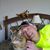 Ryan Notton's profile image