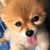 Kayra Shemar's profile image