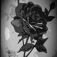 Amber Woods's profile image