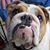 Kimberly Hamer Keihn's profile image