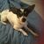Sherri M. Reid's profile image