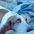 Brian Cednick's profile image