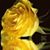 Jamie Weaver's profile image