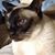 Phyllis Tull Plitt's profile image