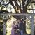 Jennifer Troyer's profile image