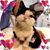 Cindy Wright's profile image