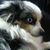 Martha Brownell's profile image