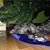 Stacey Koons Marton's profile image