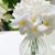 Nancy Mahoney's profile image