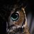 Diane Ward Peterson's profile image