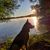 Colleen Smith's profile image