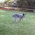 Pat Ware Gowen's profile image