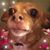 Maureen Quinn's profile image