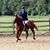 Jeanmarie Kurowski's profile image