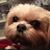 Cindy Edmondson DeNoon's profile image