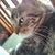 Susan Byrd Seeberger's profile image