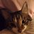 Beth Renne Hinckle's profile image