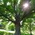 Kathy Rainey's profile image
