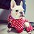 Sarah Peca's profile image