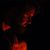 Devin Harwood's profile image