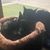 Brandy Rood's profile image