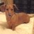 Vickie Hight's profile image