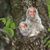Tom Haefli's profile image