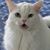 Teresa Boyd's profile image