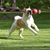 Linda Walker's profile image