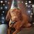 Kate Rissmiller's profile image