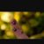 Amy Delano's profile image
