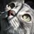 Marika Forster's profile image