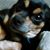 Roberta Broussard's profile image