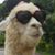 Deborah Filkins's profile image