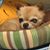 Yoko Kobayashi's profile image