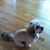 Nikki Gordon's profile image