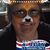 Sylvianne Langlois's profile image