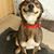 Monica Hays Pfister's profile image