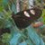 Robin Wotsch's profile image