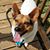 Pauline Bender Jacobsen's profile image