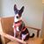 Madie Ellen Sampson's profile image
