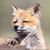 Leo E. Alessi's profile image