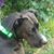 Debra Nylen's profile image