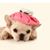 Lysa Layne's profile image