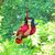 Jessica Lartz's profile image