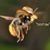 Peter Youtsey's profile image
