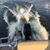 Ronald E Peavy's profile image