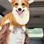 Whitney Harrison Stokes's profile image