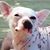 Deneen Hsu's profile image